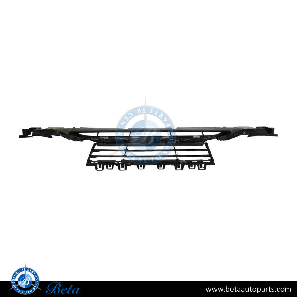 Center Side Front Bumper Lower Grille for BMW 3 Series 2016-2018 models, Part Number 51117386152 Center Side Front Bumper Lower Grille for BMW 3 Series 2016-2018 models, Part Number 51117386152